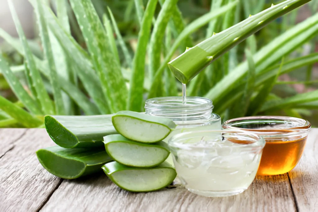 Aloe Vera-Best Baby Skin Care Tips