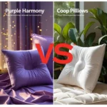 Purple Harmony vs Coop Pillow